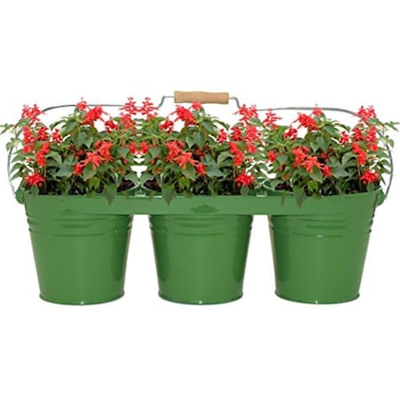 Next2Nature Enameled Galvanized Triple Planter with Wood Handle for 6.5 in. Pots, Sage NE2994849